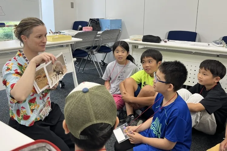 小学生国内英語プログラムイメージ