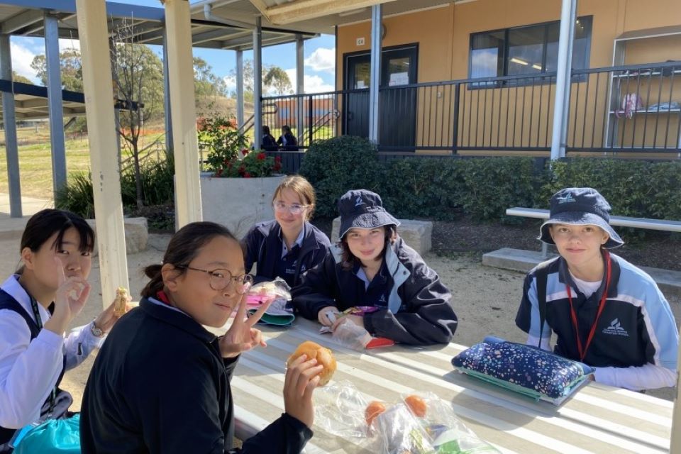 スライダー画像